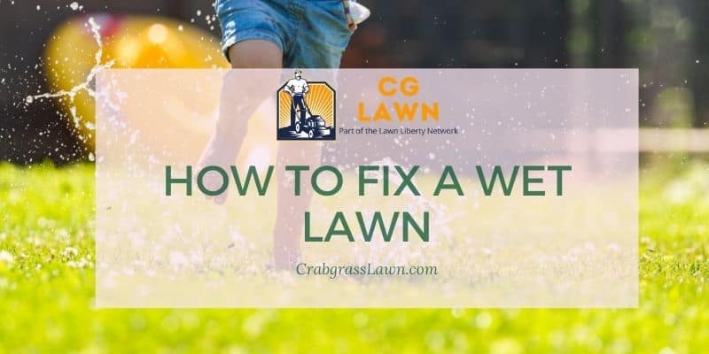 how to fix a wet lawn