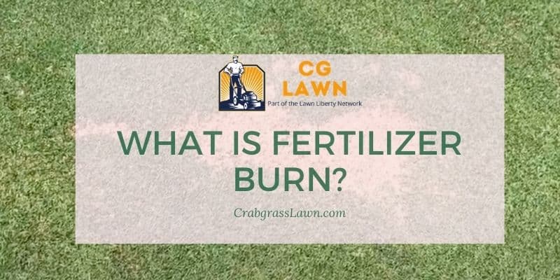what is fertilizer burn