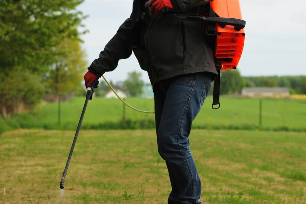 What Are the Best Backpack Sprayers? Reviews and Buyer's Guide