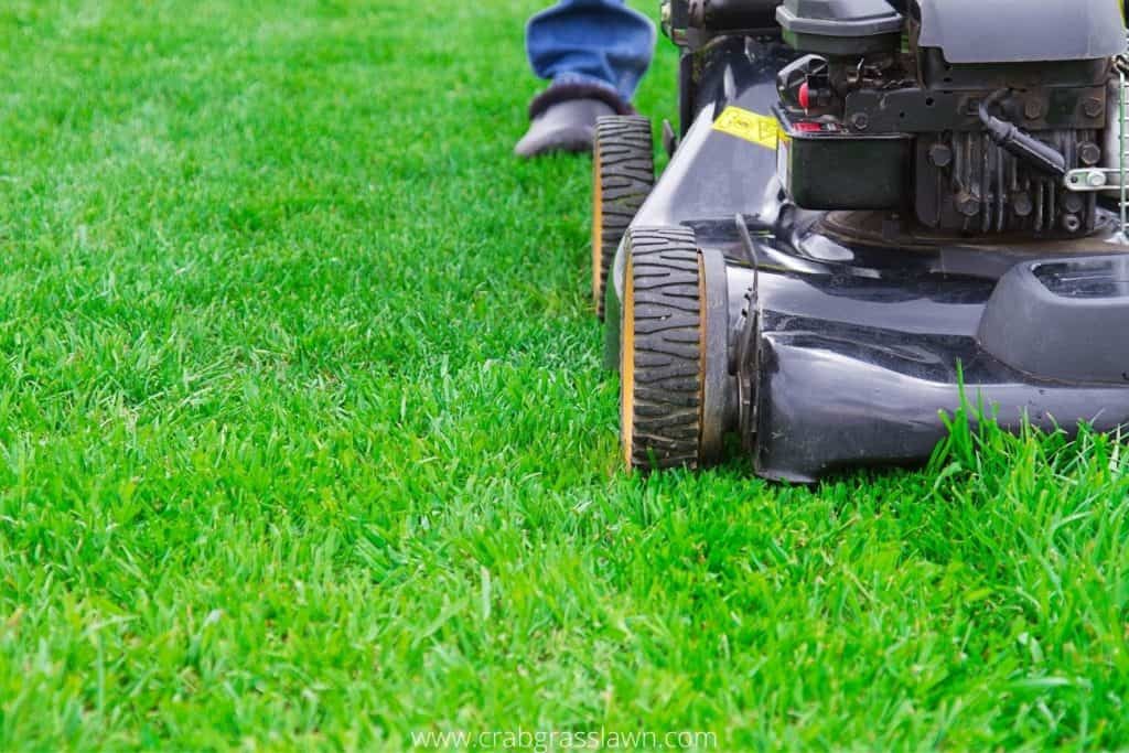 Mowing Grass