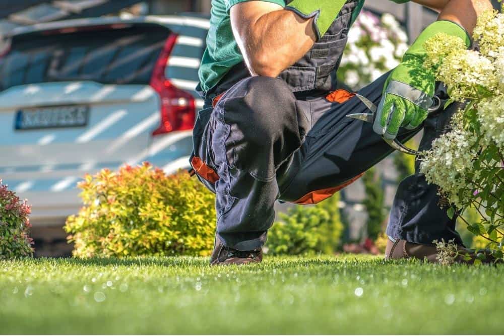 How Much Does Trugreen Cost 2023 CG Lawn