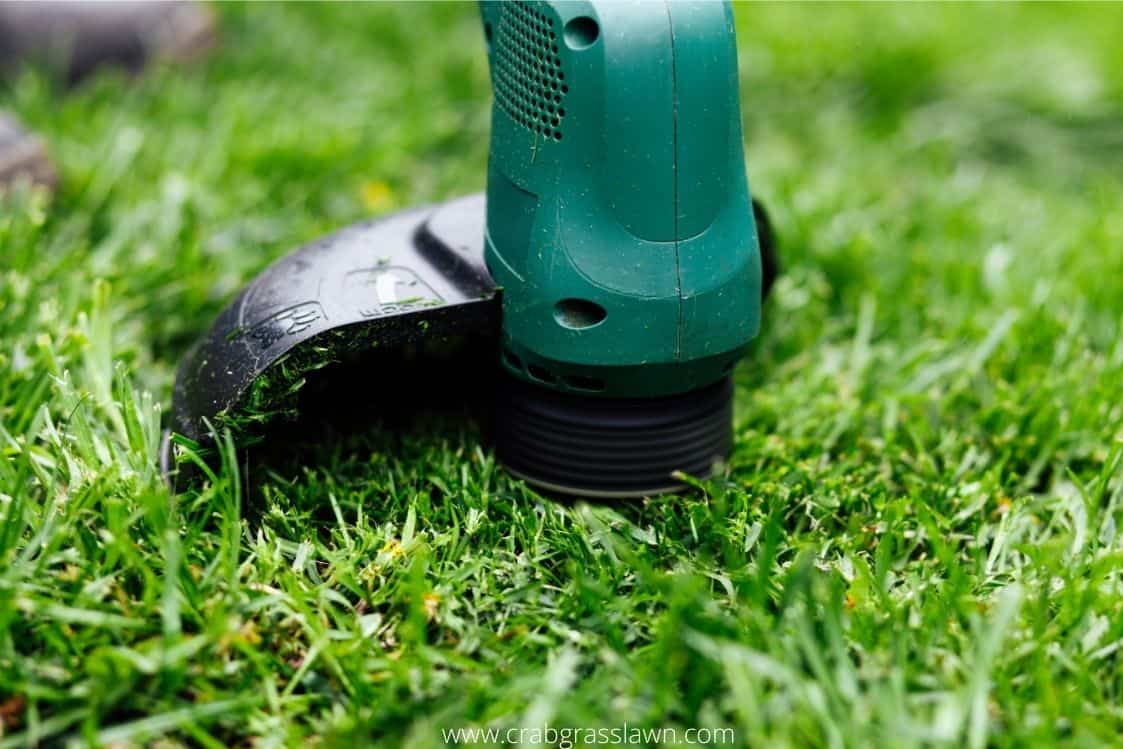 What are the Best Cordless Weed Eaters? Reviews & Buyers Guide