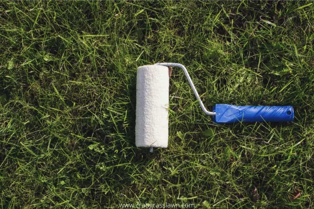 How to Paint a Lawn? CrabgrassLawn