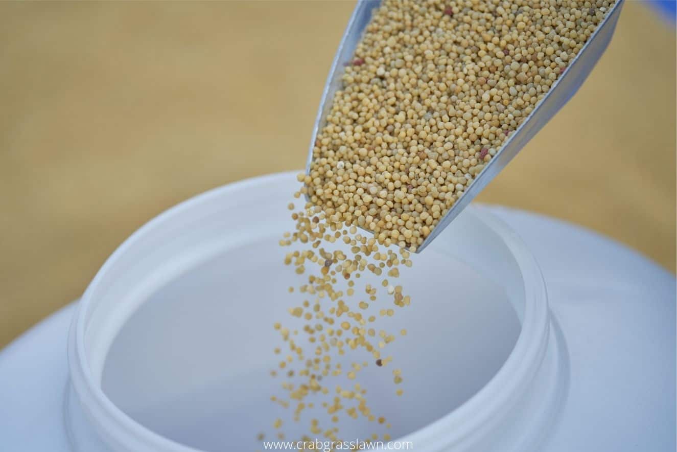 What are the Best Handheld Spreaders? 9 Top Options to Choose From