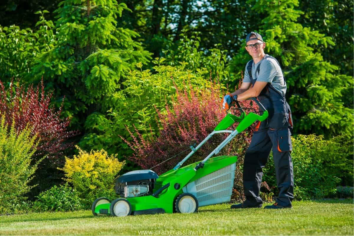 Cost of Lawn Care Services