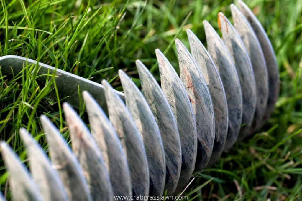 Grass dethatcher rake