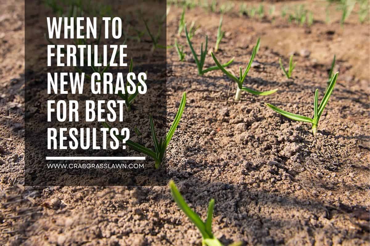 Do I Need Aeration and Overseeding, slice seeder, Sodding, Grading, or Hydroseeding?