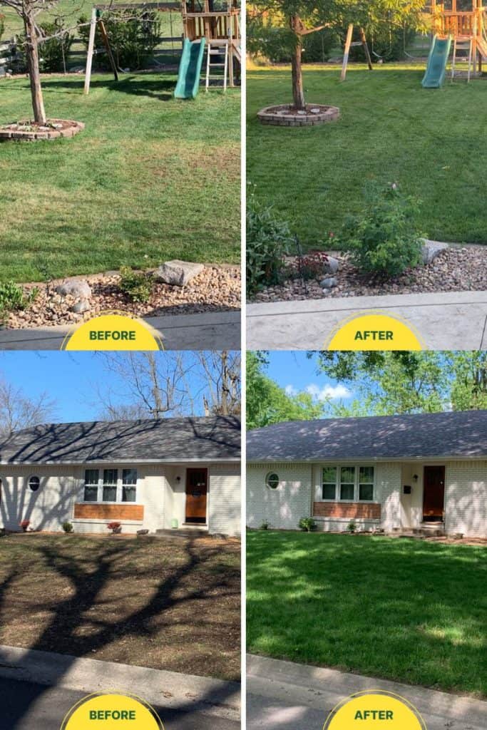 Sunday Lawn Care Before and After