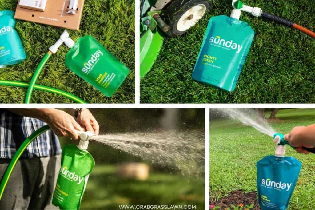 Sunday Lawn Fertilizer Reviews