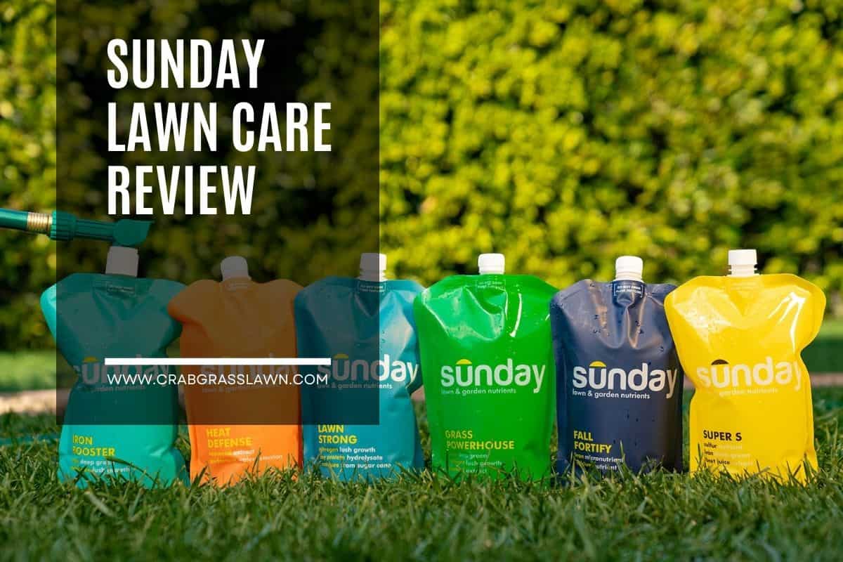 Sunday Lawn Care Review