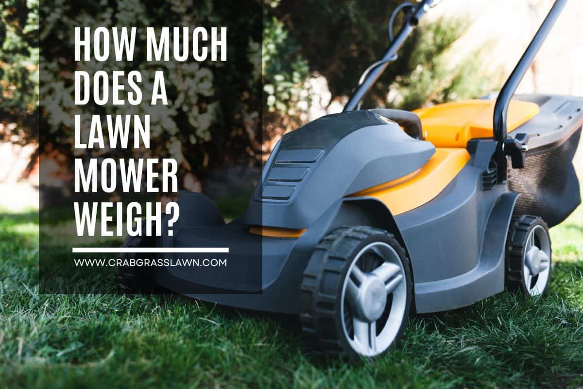 How much does a lawn mower weigh?