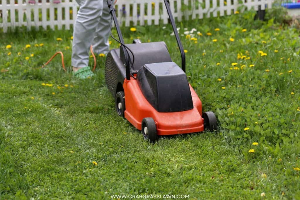 How Much Does a Lawn Mower Weigh