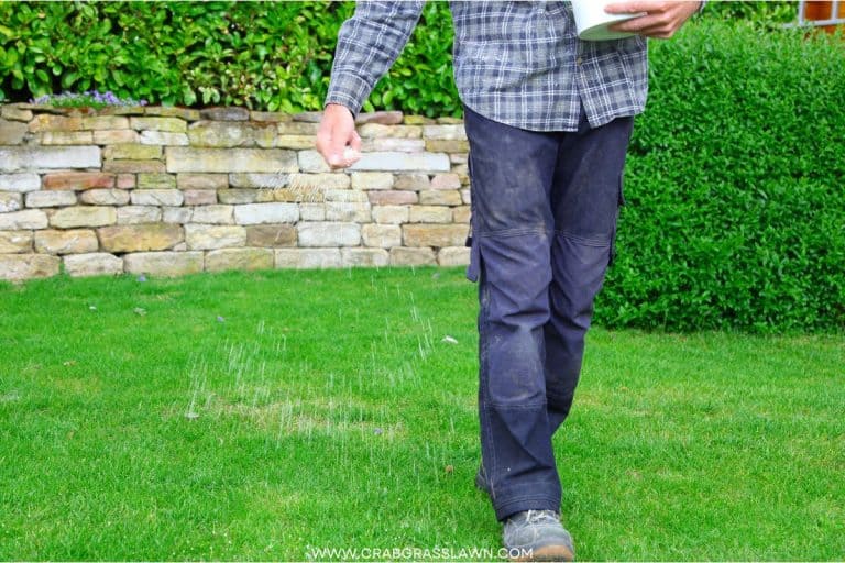 Ironite for Lawns Why it Helps and How to Use It CrabgrassLawn