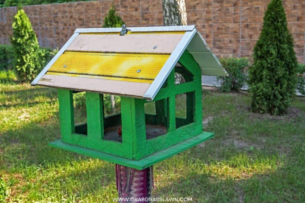 bird feeder in the yard