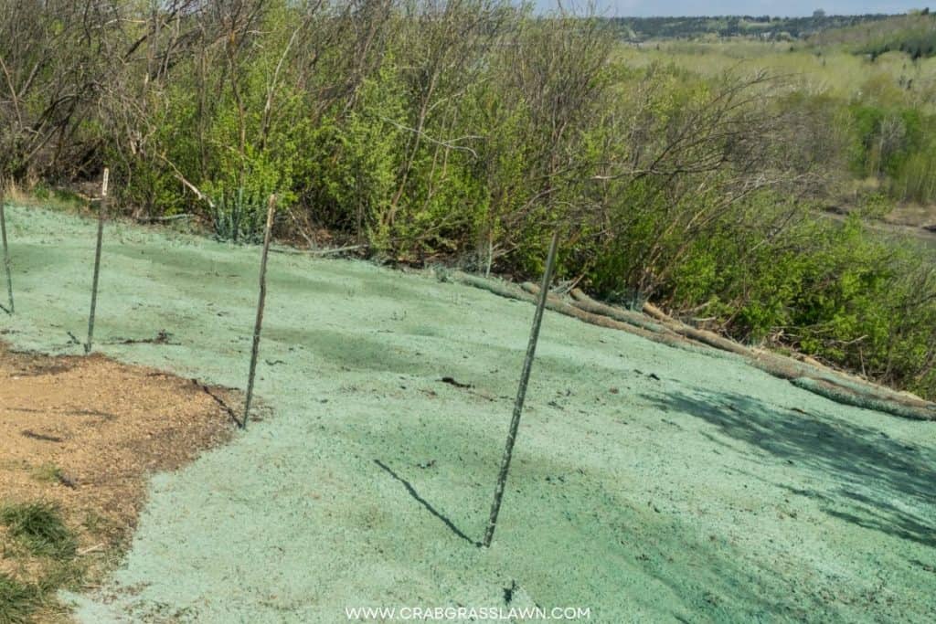 Hydroseeding vs Slice Seeding vs Overseeding