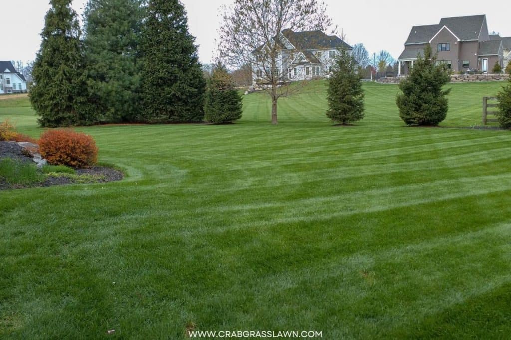 diagonally striped lawn