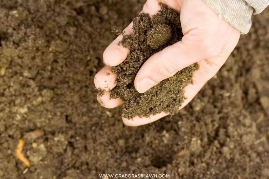 man testing soil PH