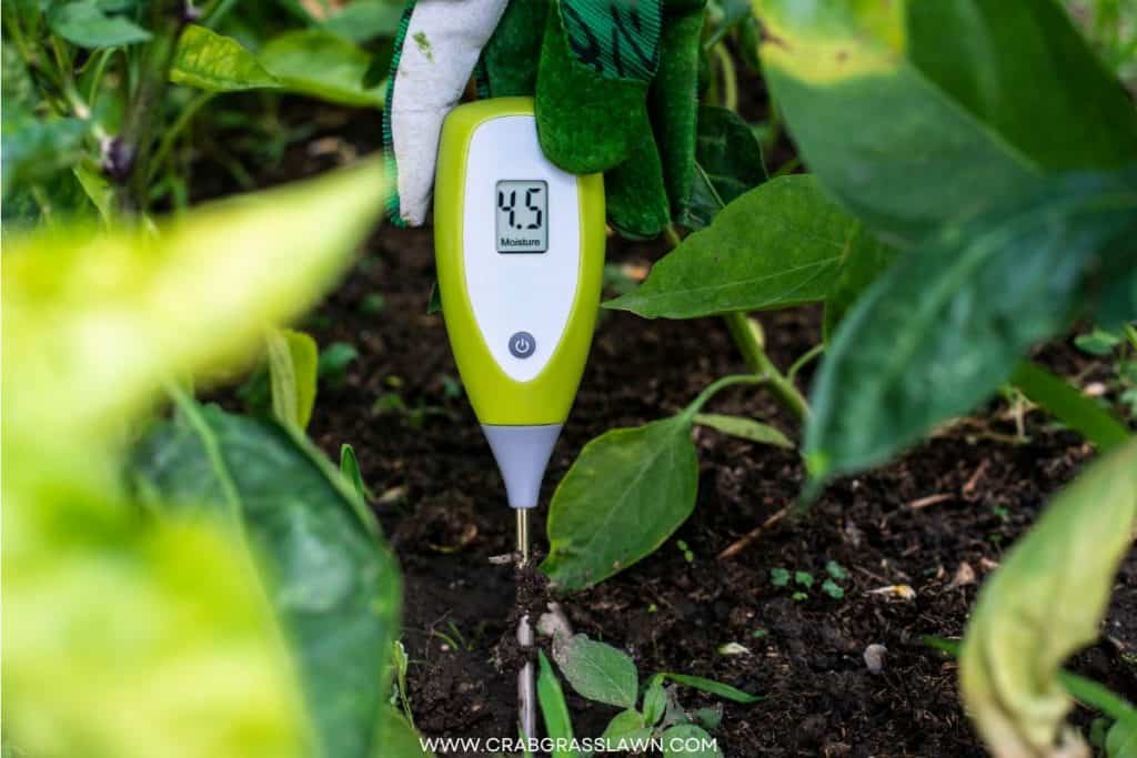 soil test probe