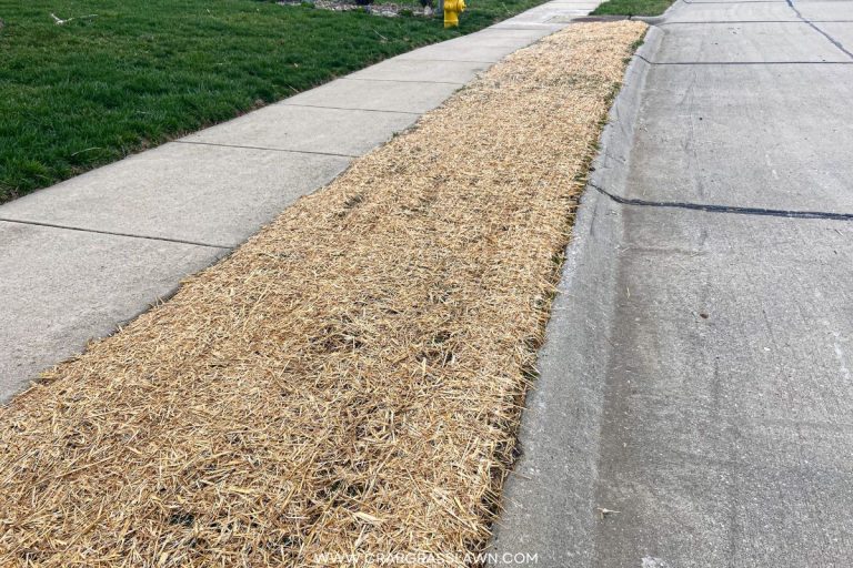 Straw for Grass Seed Mistakes, Tips & Alternatives [THAT ACTUALLY WORK