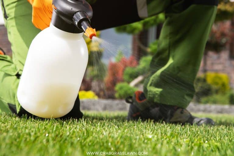The Top 7 Best Weed Killers for Bermuda Grass CrabgrassLawn