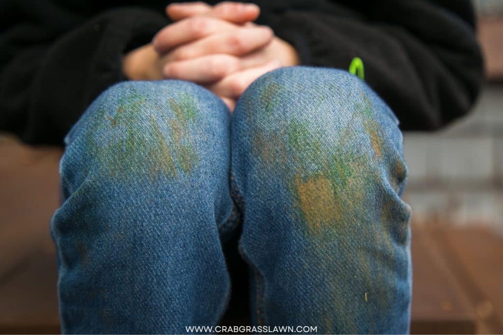 clover stains on pants