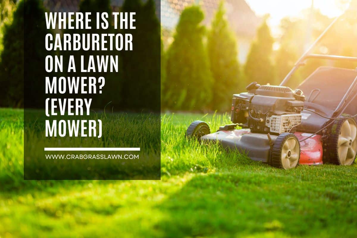 Where is the Carburetor on a Lawn Mower (every mower)