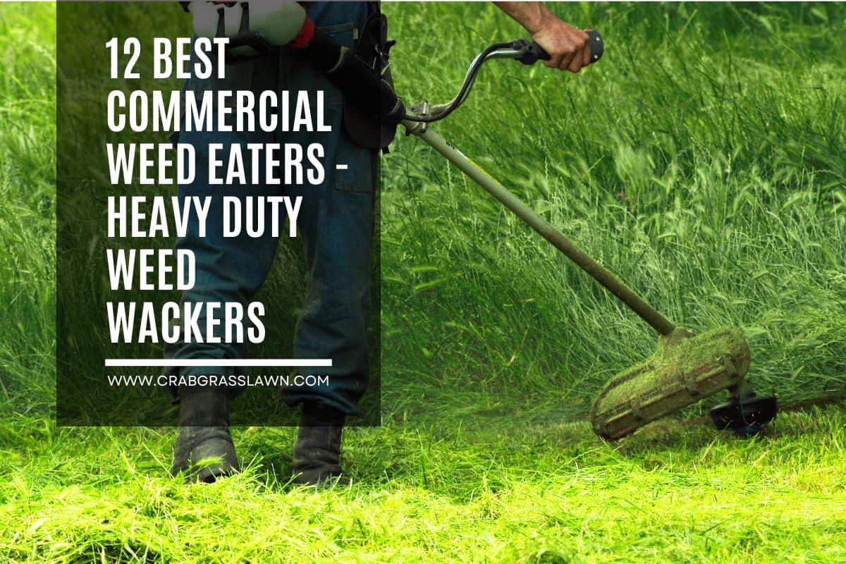 Best Commercial Weed Eaters - Trimmers - Wacker