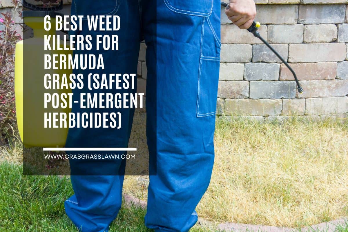 best weed killer for bermuda grass