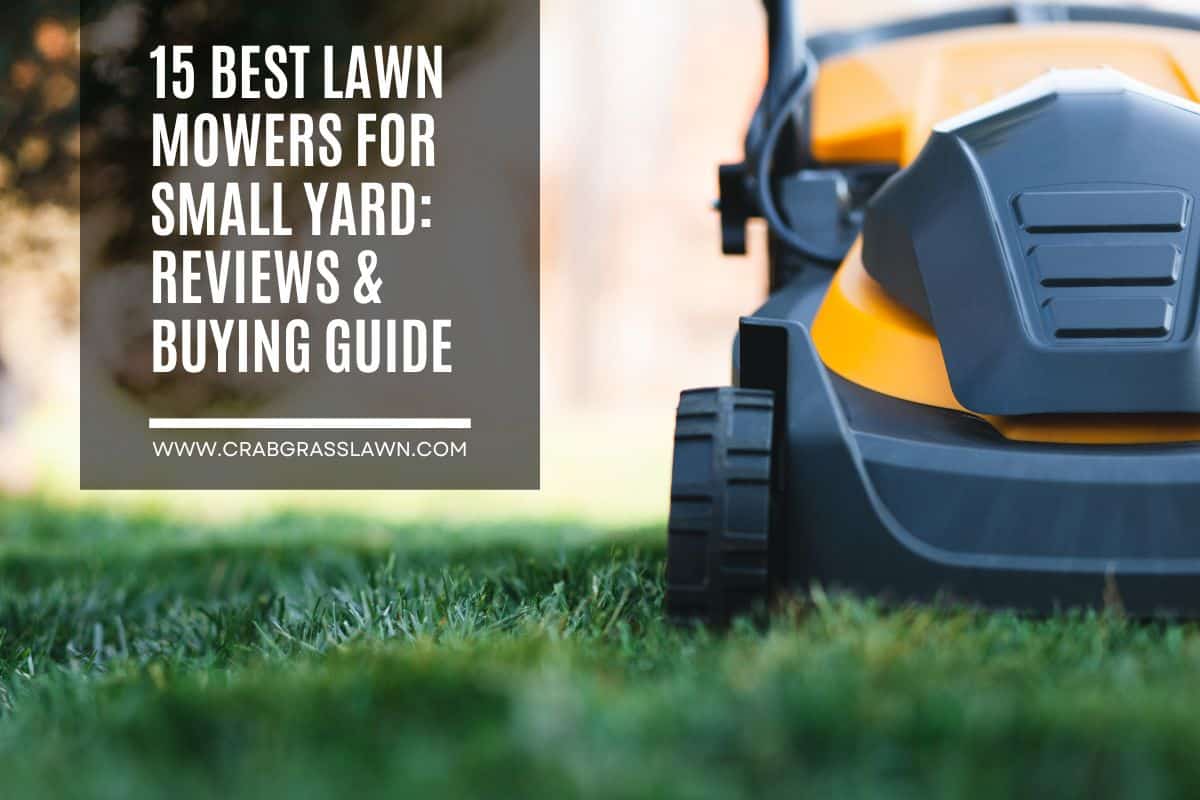 15 Best Lawn Mowers for Small Yard Reviews & Buying Guide
