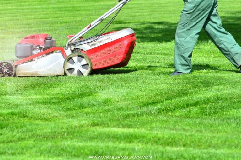Is My Engine Choke Symbol On or Off on My Lawn Mower? Everything you