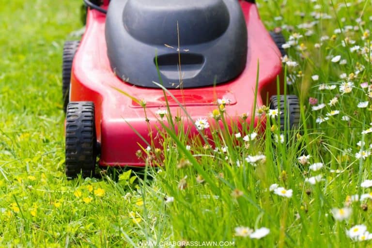 Is My Engine Choke Symbol On or Off on My Lawn Mower? Everything you