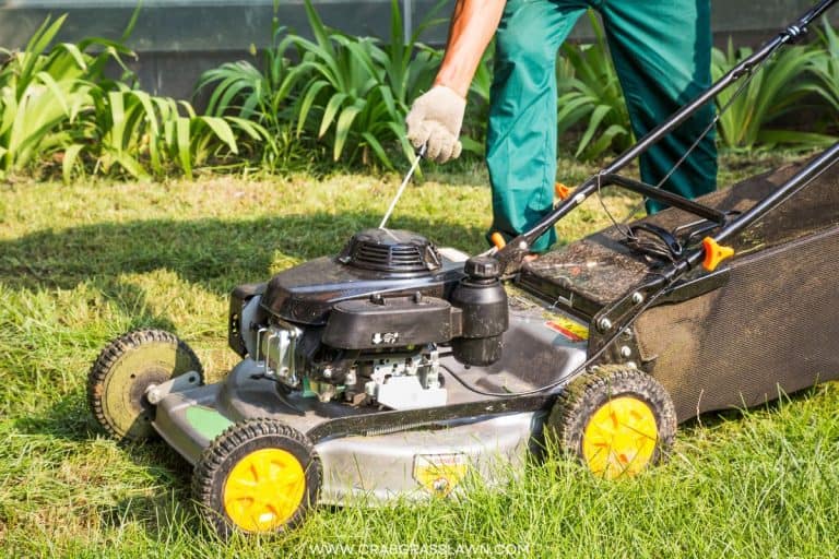 Is My Engine Choke Symbol On or Off on My Lawn Mower? Everything you