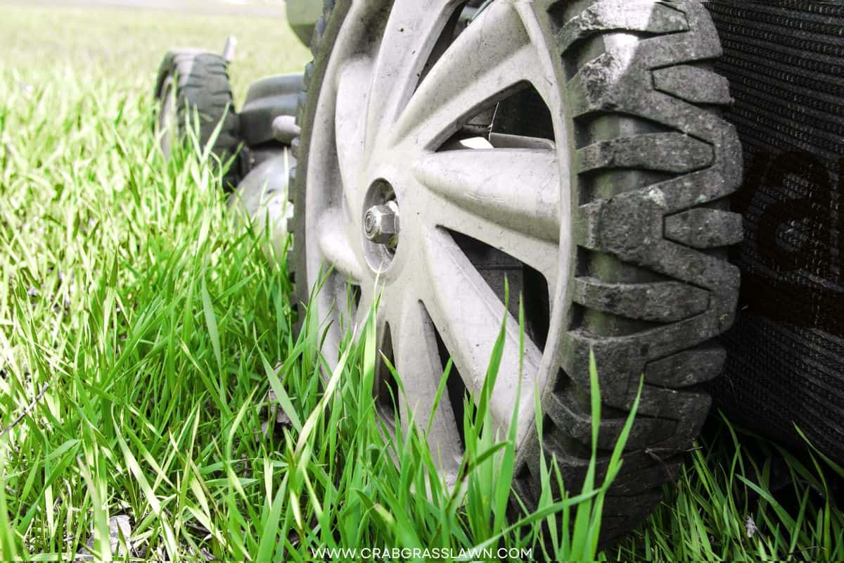 15 Best Lawn Mowers for Small Yards Reviews & Buying Guide CrabgrassLawn