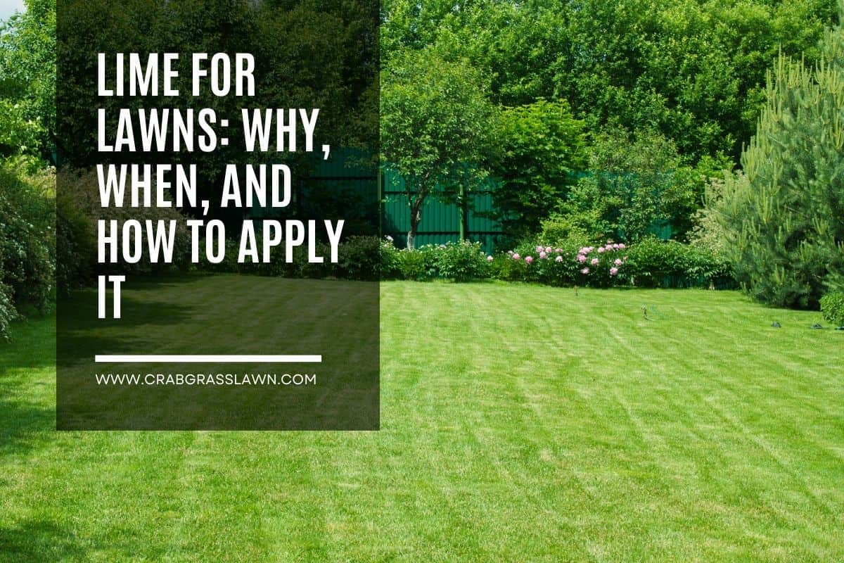 lime for lawns