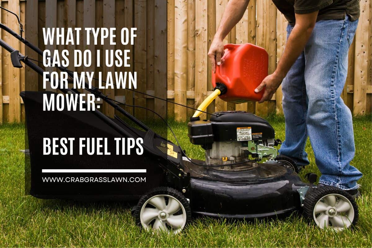 gas for lawn mower