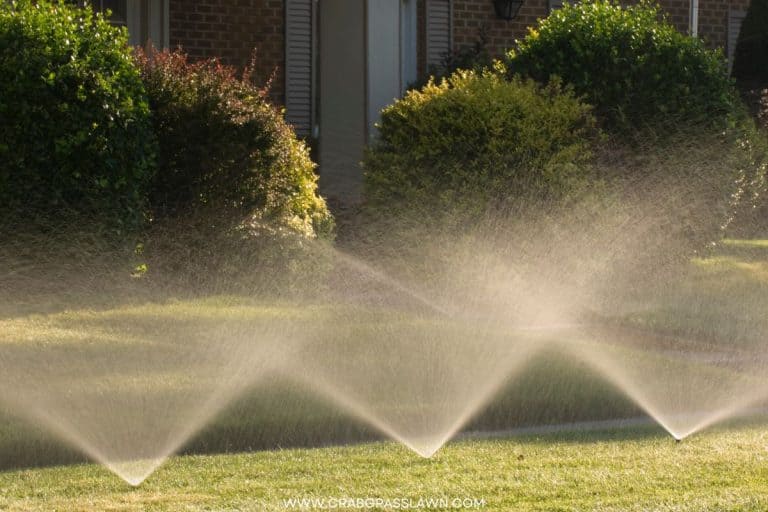 Solved! How Long to Run Sprinkler and Water Your Lawn CrabgrassLawn