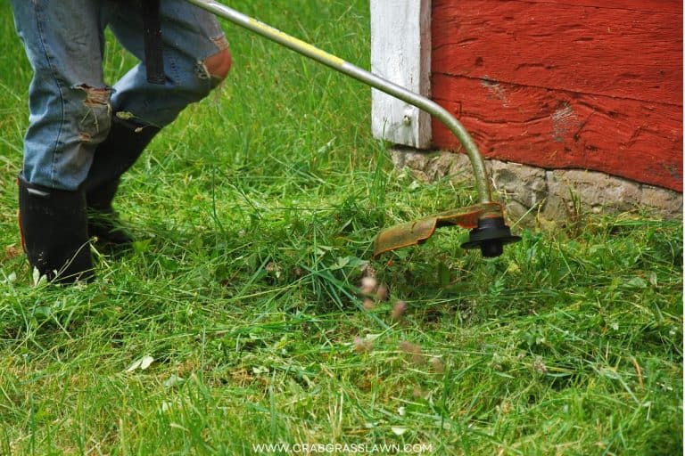 How to Cut Tall Grass in 5 Easy Steps? CrabgrassLawn