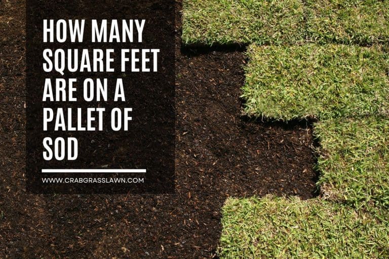 How Many Square Feet Are On a Pallet of Sod