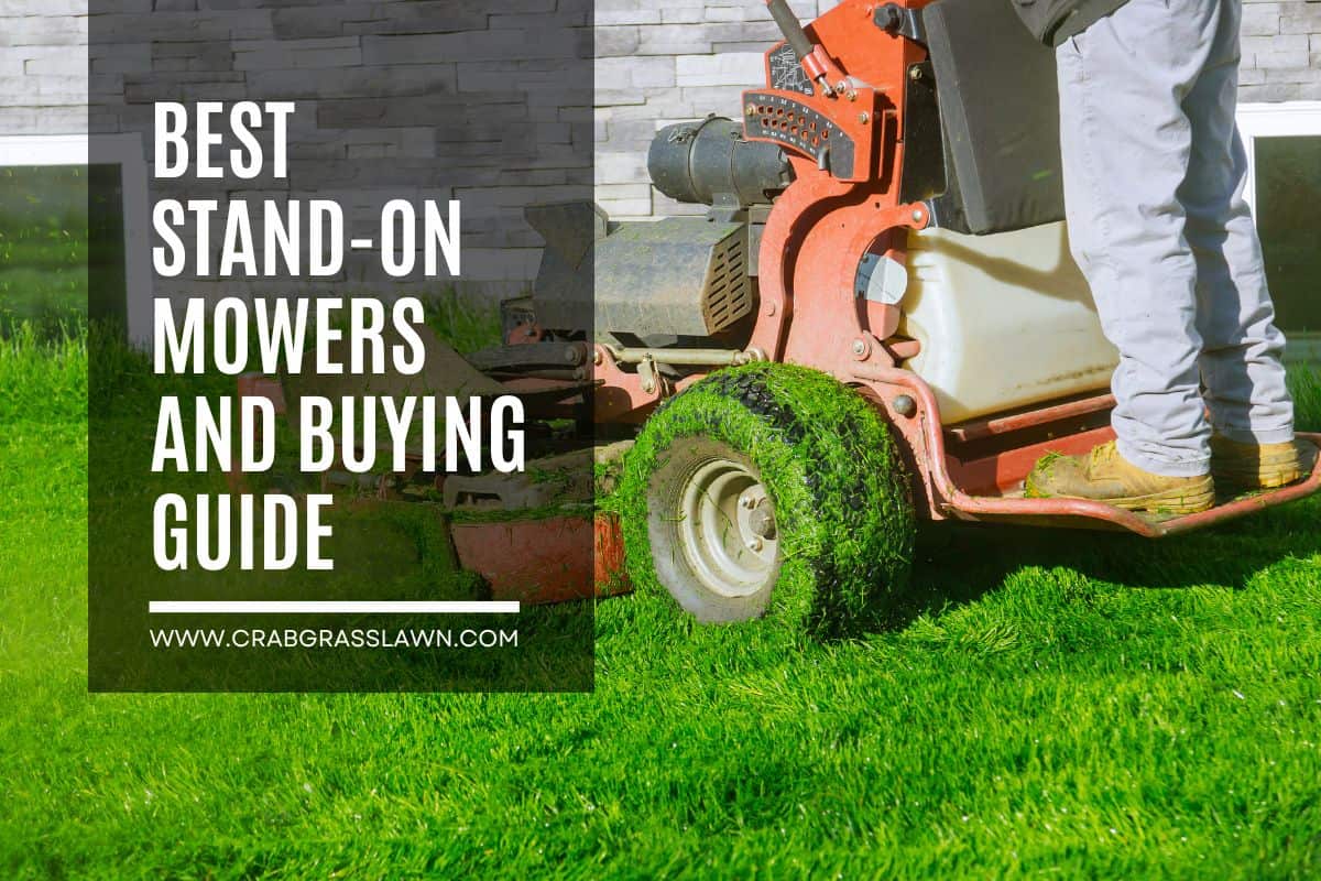 best stand on mower