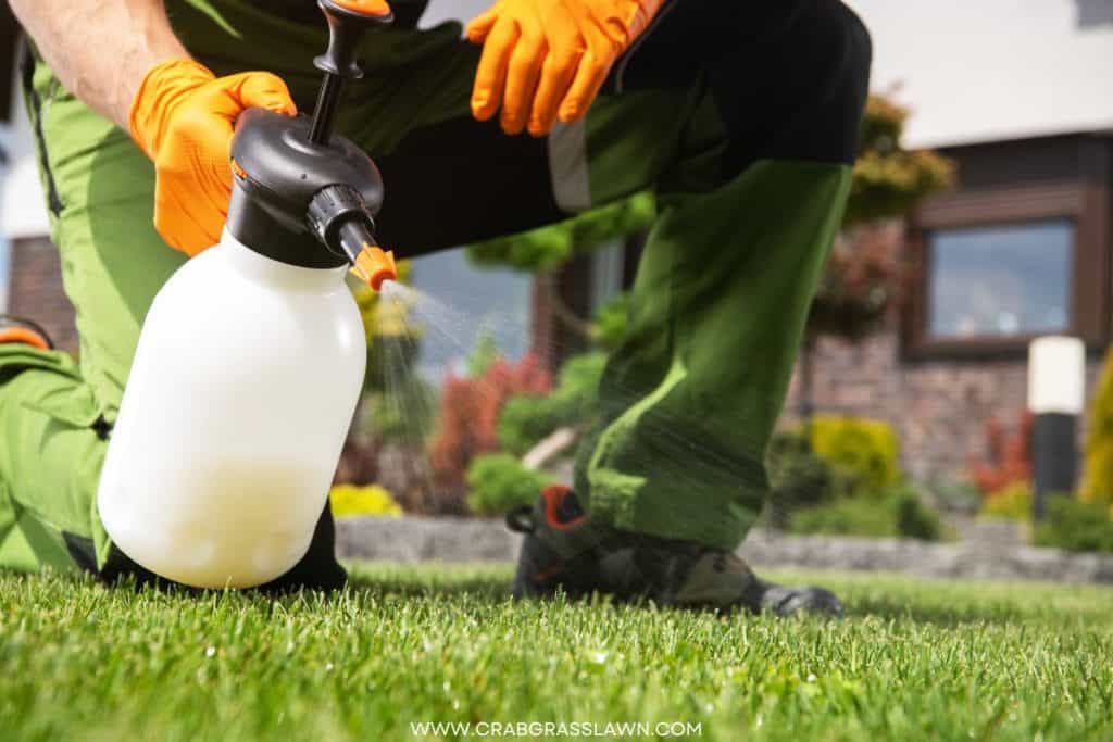 man applying herbicide on grass