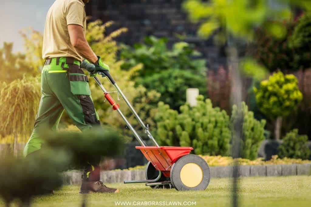 applying lime to fix fertilizer not working