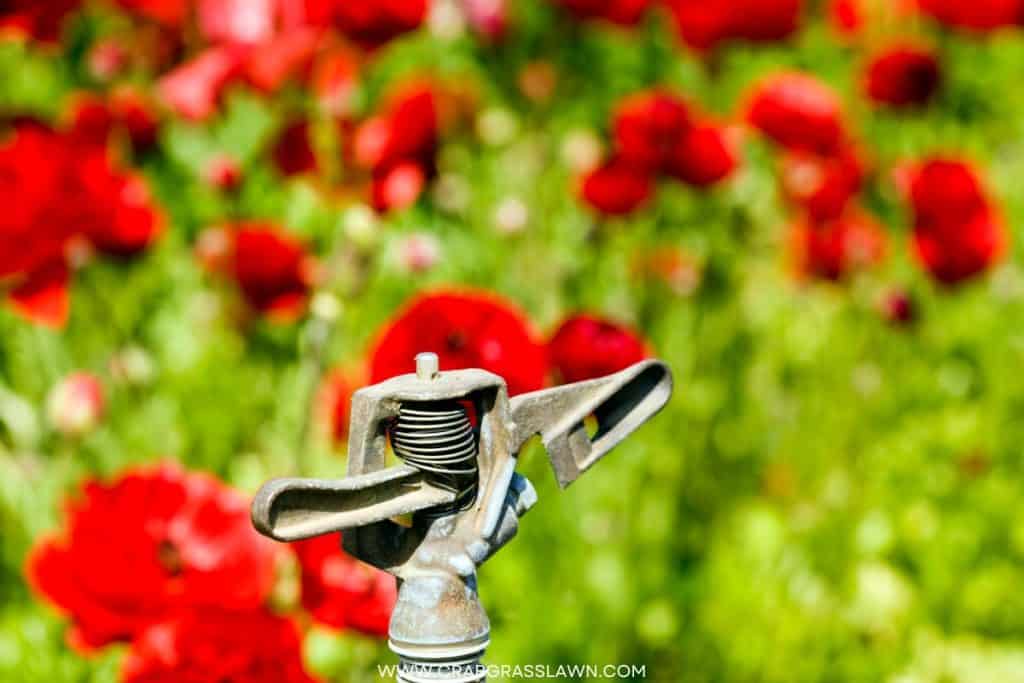 sprinkler head