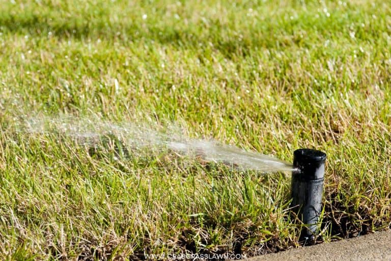 Why Do My Sprinklers Have Low Water Pressure? CrabgrassLawn