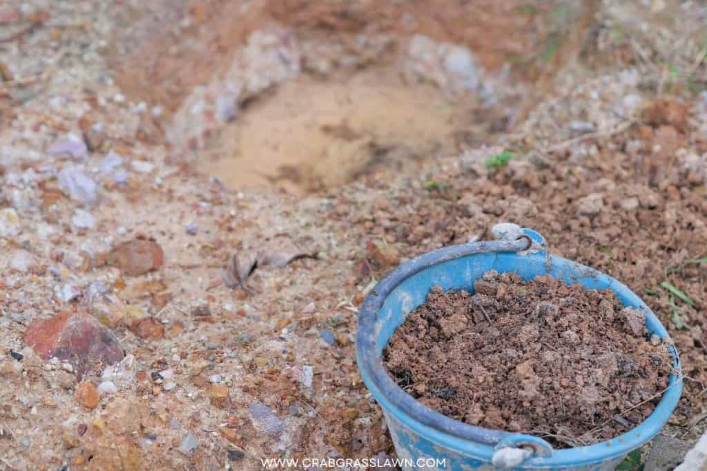 clay soil