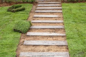 How Long Does It Take for Sod to Take Root? You'd Be Surprised