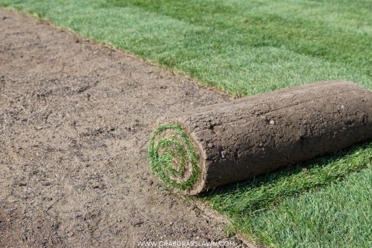 How Many Square Feet Are On a Pallet of Sod CrabgrassLawn
