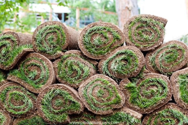 How Many Square Feet Are On a Pallet of Sod CrabgrassLawn