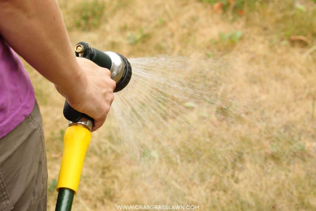 Watering dead grass