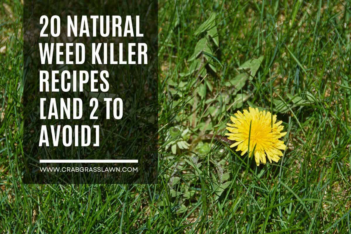 natural weed killer recipe