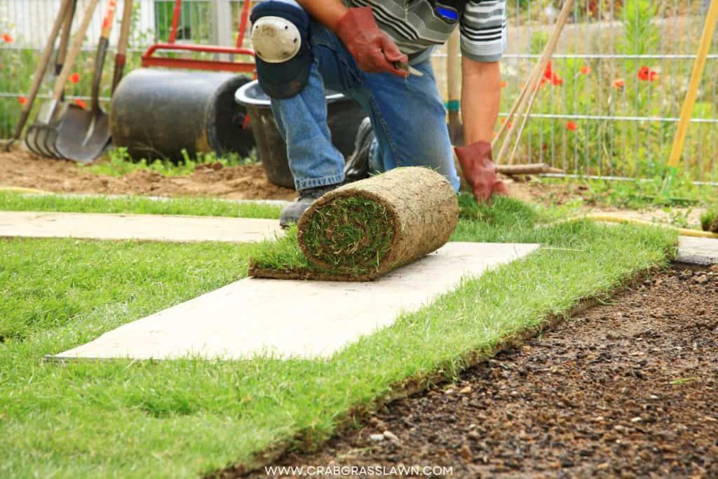 adding new layer of sod grass